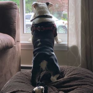 Meet your Posher, Michael